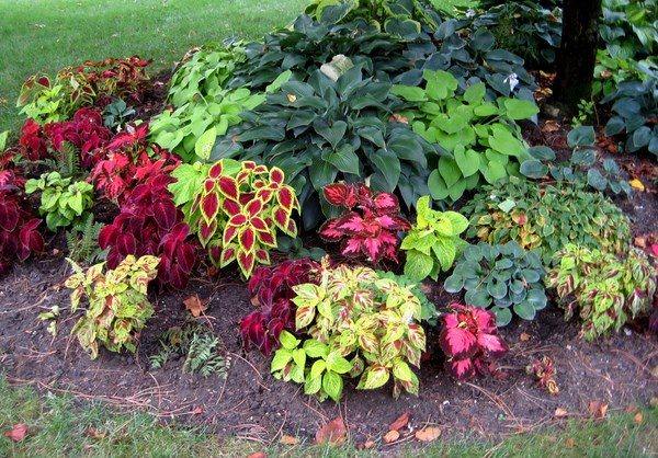 beautiful-shade-garden-design-ideas-how-to-choose-the-right-plants