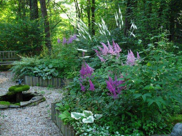 how-to-choose-the-plants-for-a-shade-gadren