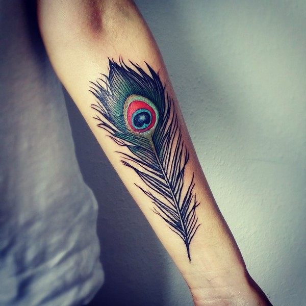 Peacock Feather Tattoo Sketch