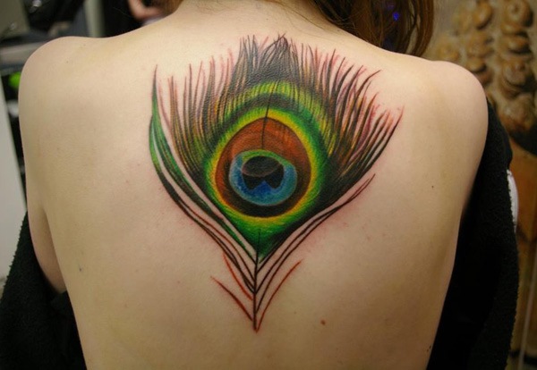 peacock feather tattoo ideas on back