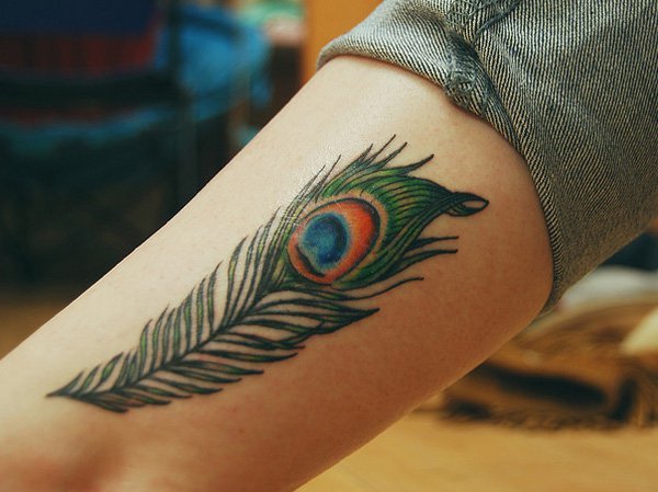 small feather tattoo peacock
