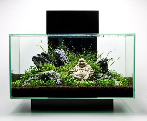 aquarium design rocks budha