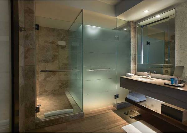 modern bathroom design frosted glass shower doors
