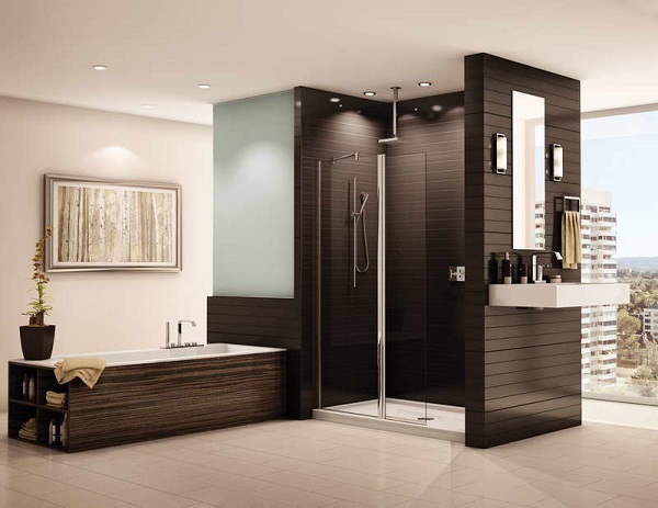 open walk in shower design ideas glass screen doorless shower