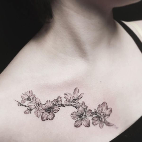 Fascinating black gray sakura tattoo on the chest