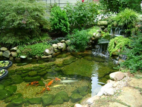 Japanese style garden pond with koi fish design ideas