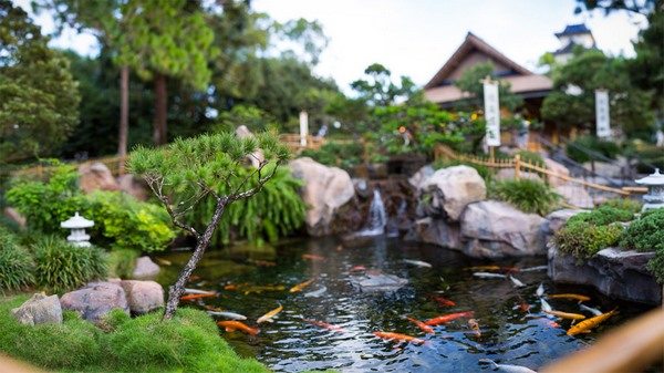Koi pond design ideas garden water features backyard landscaping