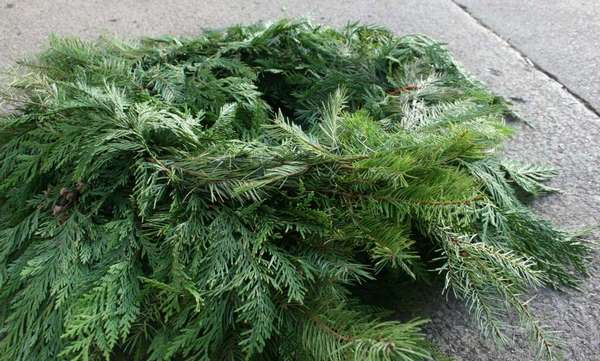how to make fresh christmas garland evergreen branches