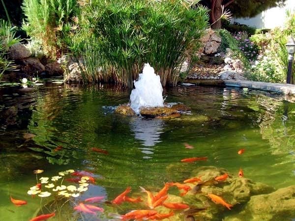 koi pond design Japanese style garden decorating ideas