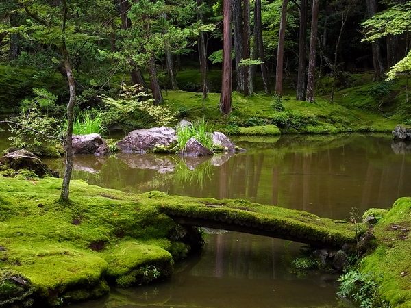 Japanese garden landscaping bridge moss