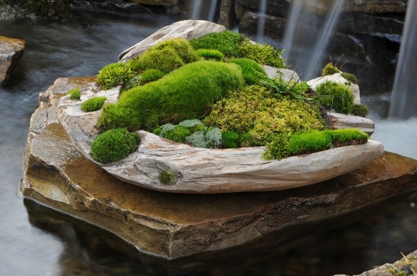 awesome moss composition garden decoration ideas