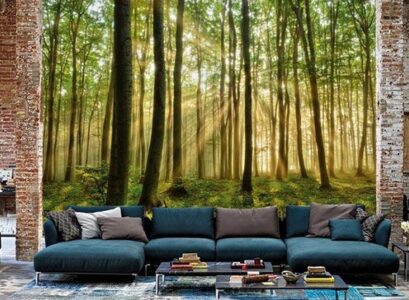 designer-wallpapers-light-rays-through-trees-forest-wallpaper-mural