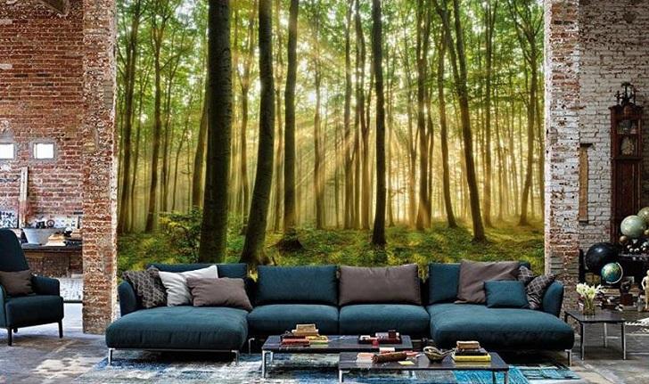 designer wallpapers light rays through trees forest wallpaper mural