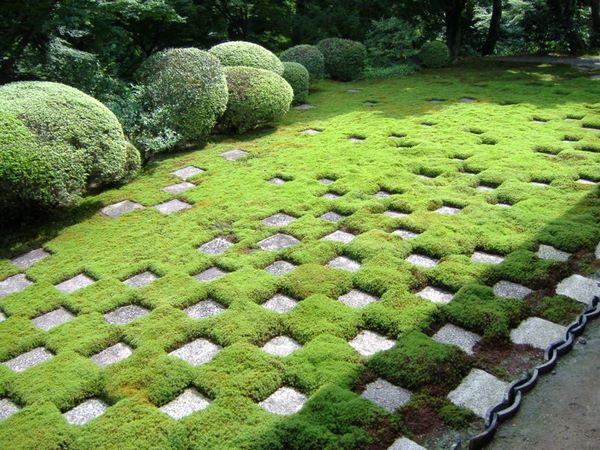 garden landscape decorating ideas with moss
