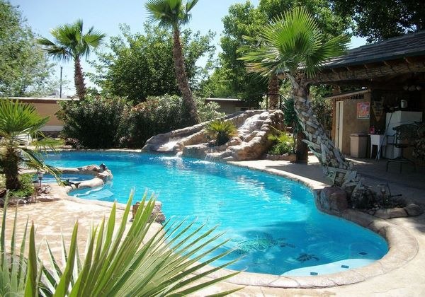 landscape pool backyard design ideas palm trees