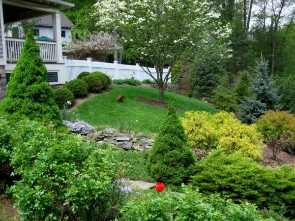 slope garden landscaping retaining walls coniferous plants