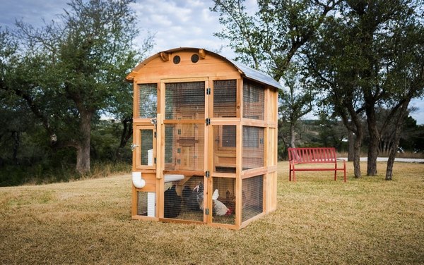 DIY chicken coop design ideas with pallet wood