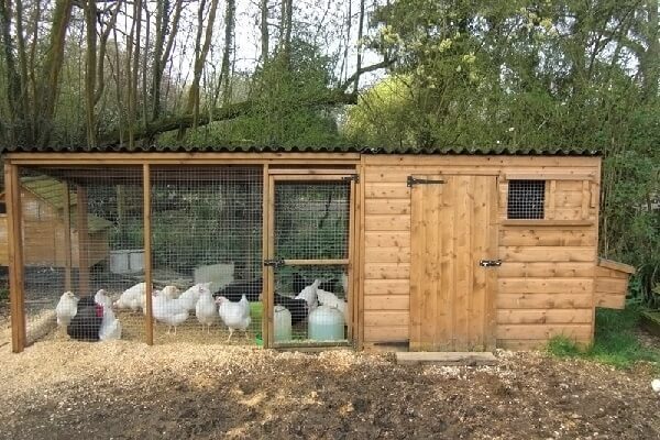 DIY pallet chicken coop ideas backyard