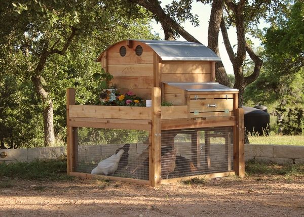 DIY pallet chicken coop ideas construction tips