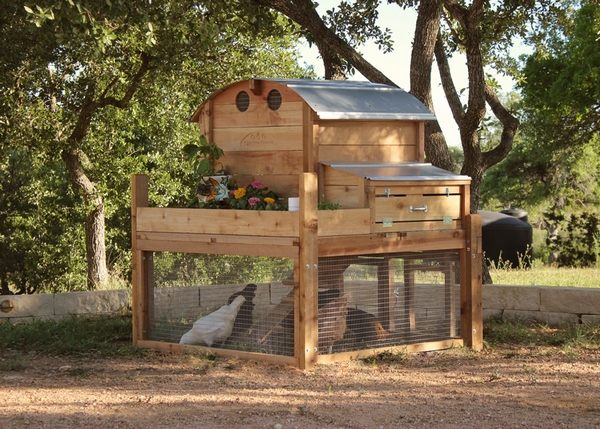 DIY-pallet-chicken-coop-ideas-construction-tips