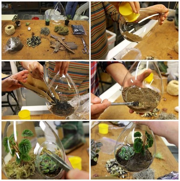 DIY succulent terrarium design ideas instructions step by step