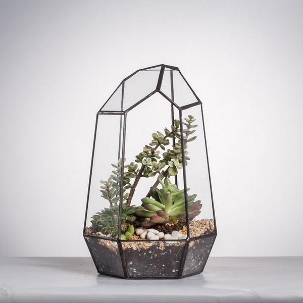 DIY succulent terrarium design ideas