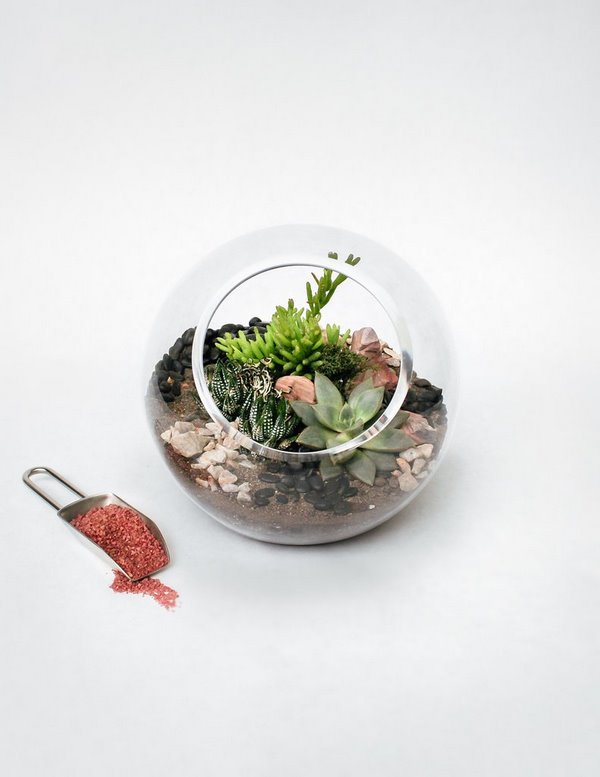 DIY succulent terrarium ideas and instructions