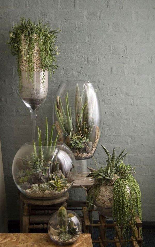 DIY terrarium ideas glass containers succulents