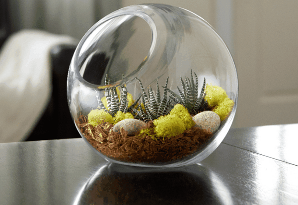 Modern succulent terrarium design ideas container plants ideas