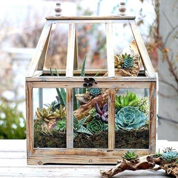 container for a small succulent indoor garden mini greenhouse