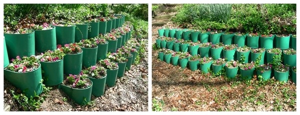 creative DIY garden wall green planters
