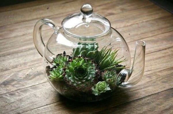 creative home decor ideas glass teapot terratium