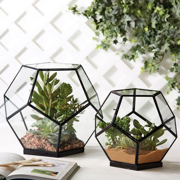creative home decoration ideas glass terrariums DIY mini garden