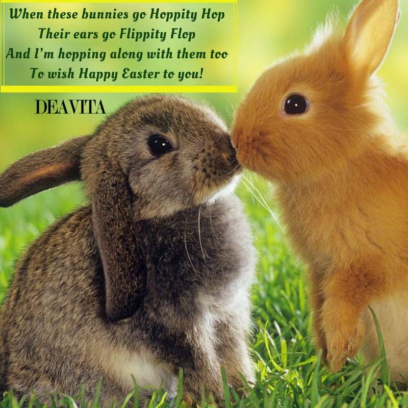 Funny Easter Quotes