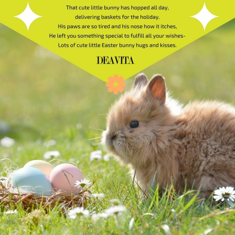 cute little bunny card and greeting Easter poems