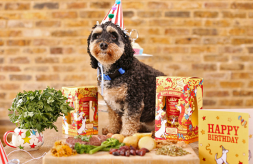 dog-birthday-cake-ideas-healthy-food