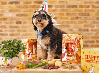 dog-birthday-cake-ideas-healthy-food