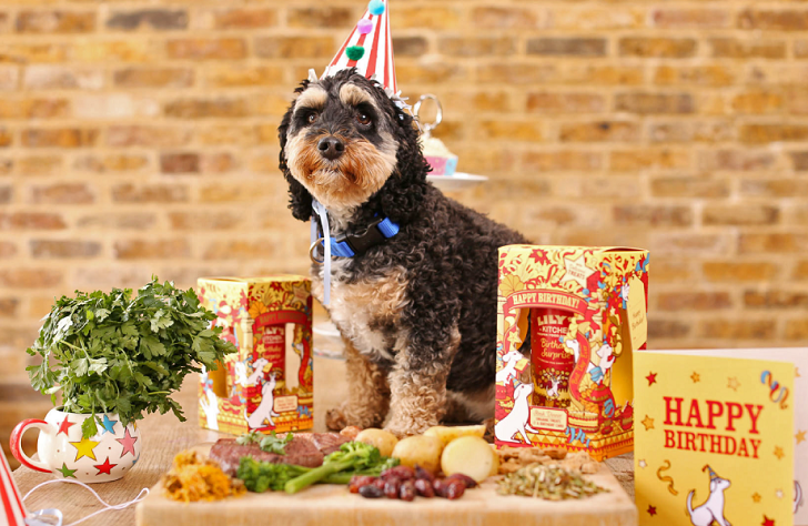 dog birthday cake ideas healthy food