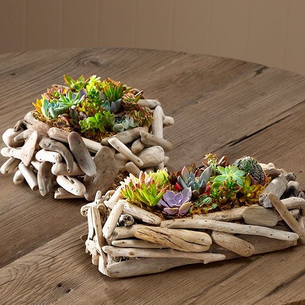 driftwood succulent gardens table decorating ideas