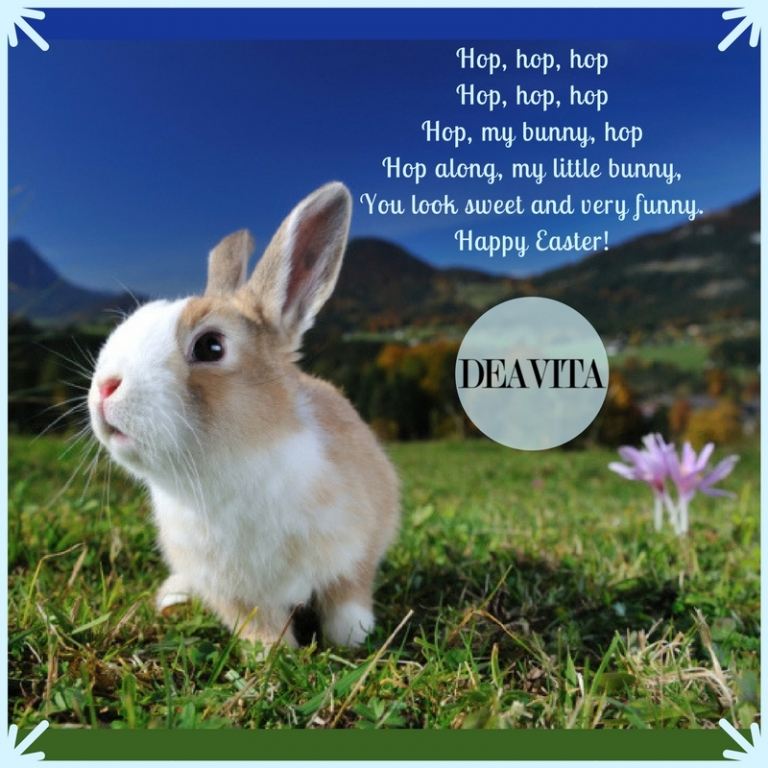 funny bunny poems spring holidays cards