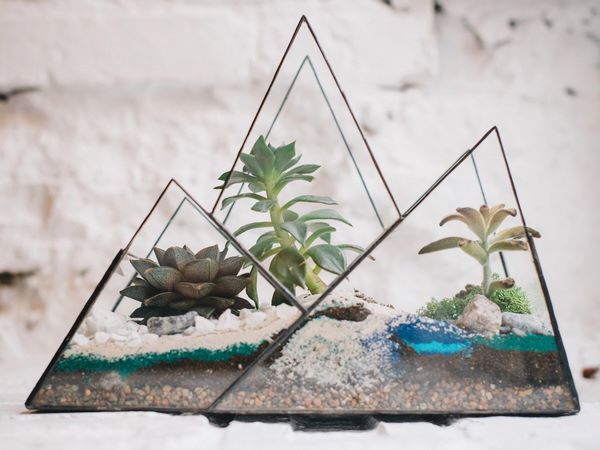 geometric glass terrarium succulents containers ideas