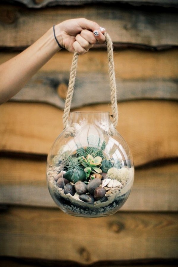 hanging succulent terrarium in a glass orb