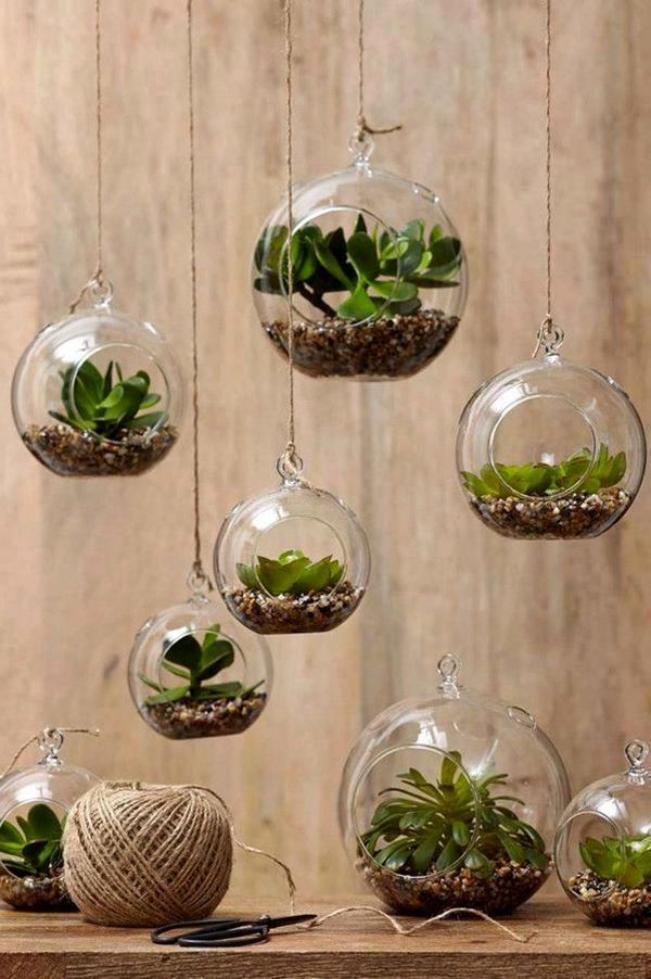 hanging terrarium glass orbs DIY