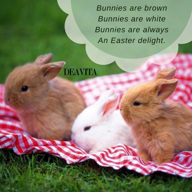 lovely Easter poems and greetings cards