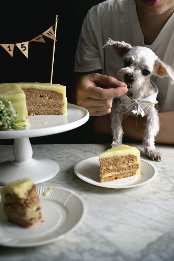 meatloaf cake for dogs birthday