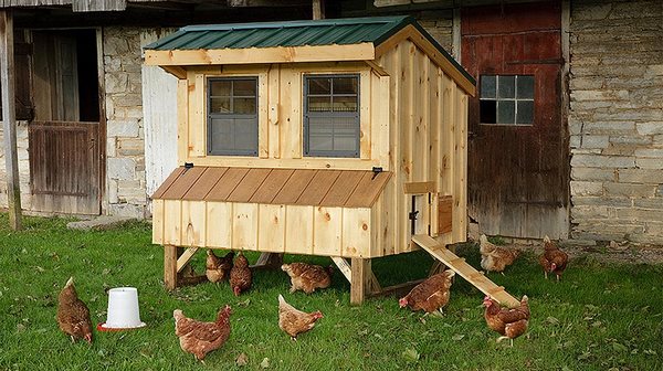 small chicken coops construction ideas