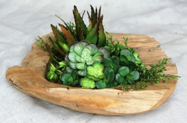 succulents arrangement waterproof teak wood inspiring interiors