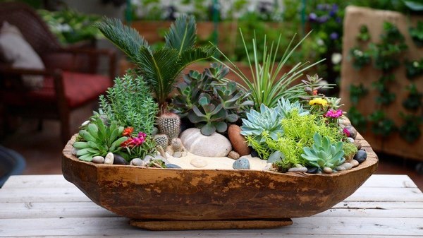 table decoration wood planter succulent mini garden