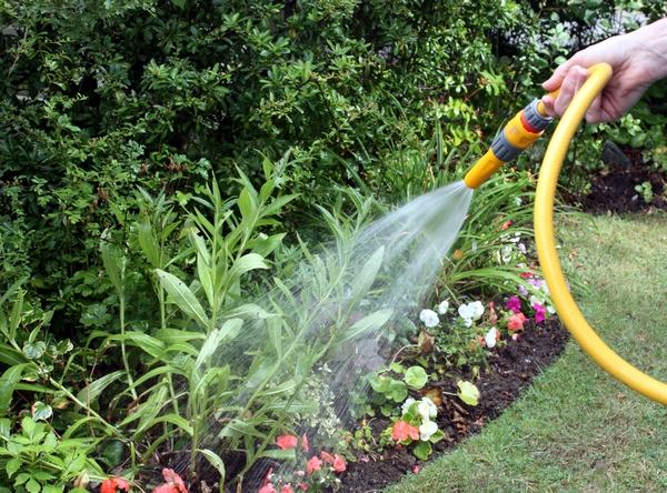 tips and ideas for garden watering choosing best hose