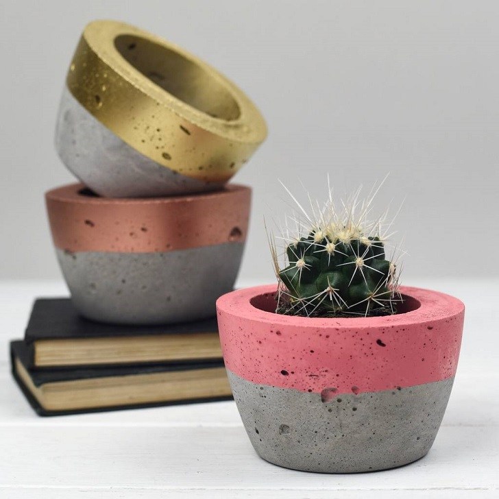 DIY original concrete plant pot for cacti and succulents